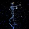 metaverse