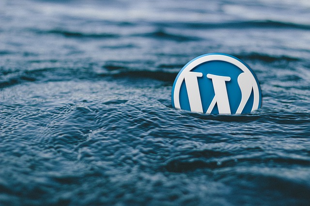 Tips And Tricks For Making WordPress Work For You