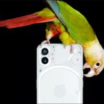 Nothing phone