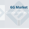 6G Market