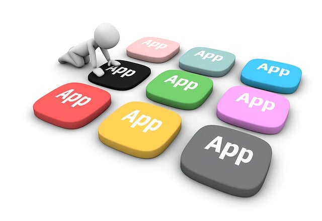 mobile application development