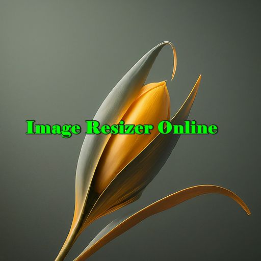 Image Resizer Online