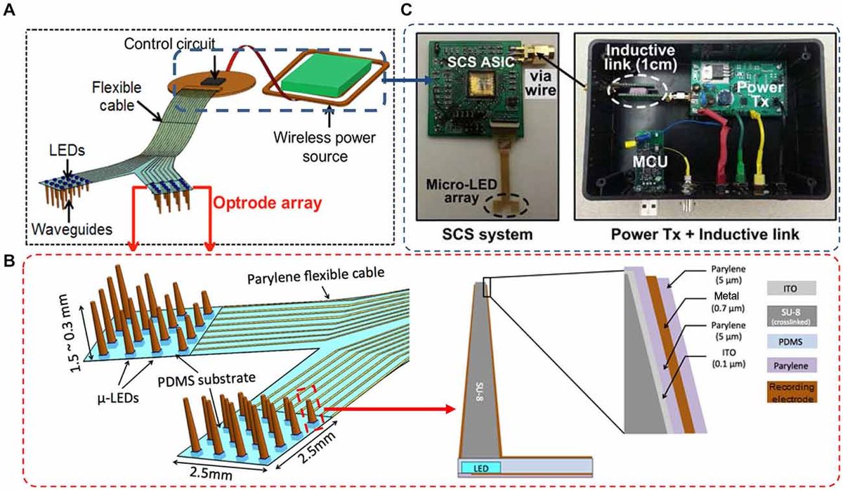 Memristors in Neuromorphic Computing