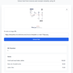 AI Invoice Text Extractor