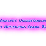 Log File Analysis Understanding Bot Behavior Optimizing Crawl Budget